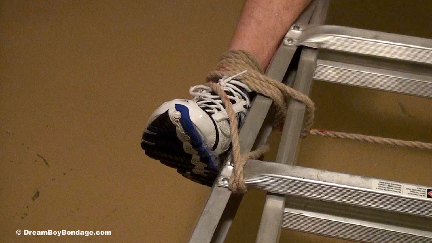 Young Manhood - Chapter 1