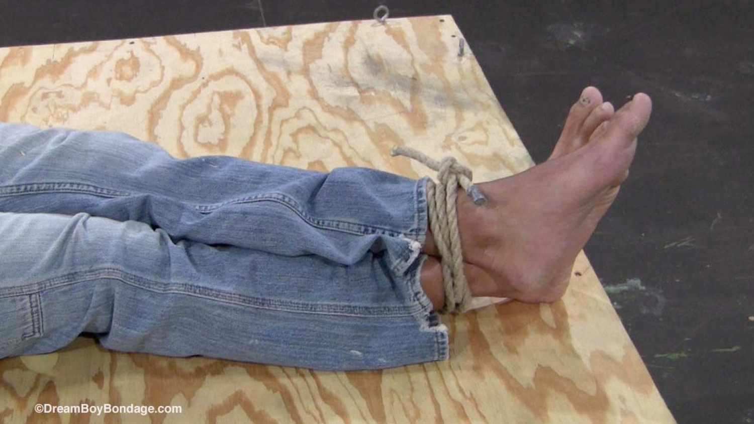 Captured Beauty - Chapter 1